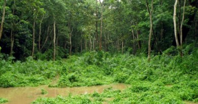 Chitwan National Park